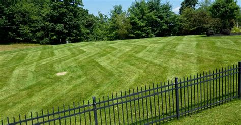Grass Cutting And Lawn Maintenance Treesdale Landscape Company