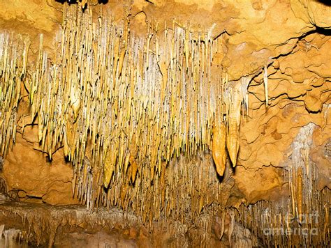 Stalactite Formations In Florida Photograph By Millard H Sharp