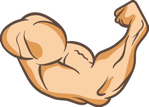 Cartoon Muscle Arm Muscles Cartoon Free Transparent P
