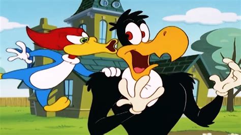 Safe Videos For Kids Woody Woodpecker Show Super Woody 1 Hour
