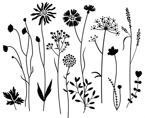 Wildflowers 2 Digital Clipart Hand Drawn Digital Clipart Etsy