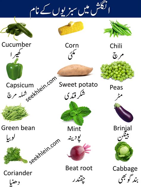 41 Vegetable Names In Urdu And English With Pictures Seekhlein