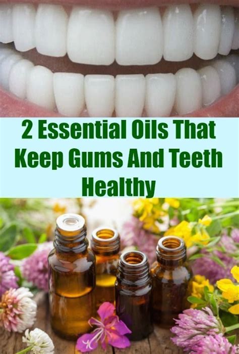 2 Essential Oils That Keep Gums And Teeth Healthy Natural Way To Care