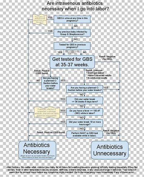 Group B Streptococcal Infection Streptococcus Antibiotics Pregnancy Png Clipart Algorithm