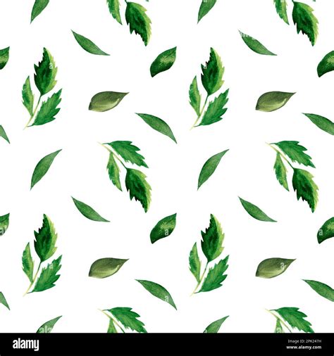 Hand Drawn Watercolor Green Leaves Seamless Pattern Stock Photo Alamy