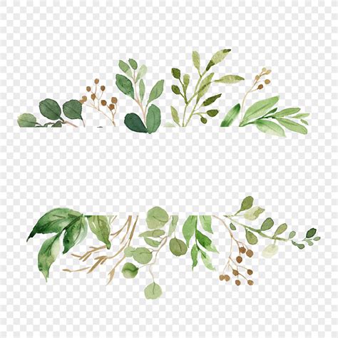 Watercolor Green Plant Border Vector Material Png Imagepicture Free