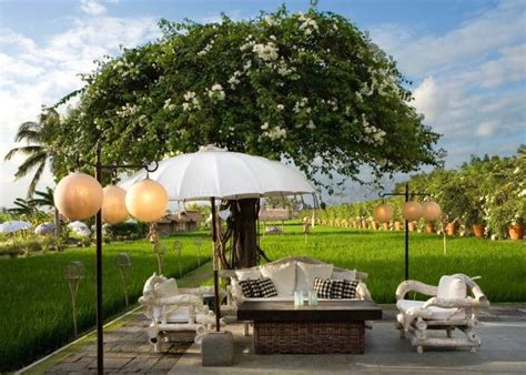 Gambar tentang Kece! 10 Cafe dengan Pemandangan Sawah Paling Hitz di Bali