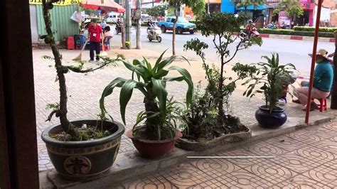 Hiện các chuyến bay chở khách thương mại. Khách sạn gần sân bay tân sơn nhất - YouTube
