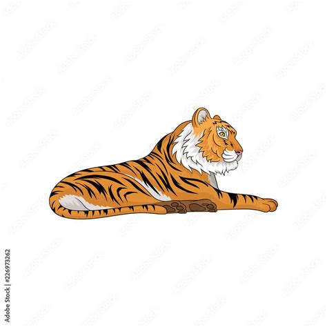 Vector Illustration Of Adult Tiger Laying Isolated On White Background