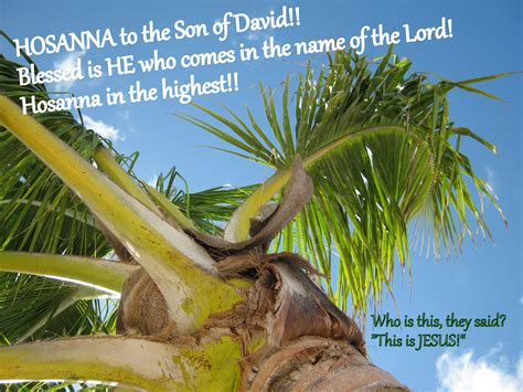 By Sueribs Palm Sunday Hosanna In The Highest Son Of David Palm