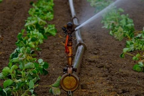 Sprinkler Irrigation Design Layout Components Cost Agri Farming