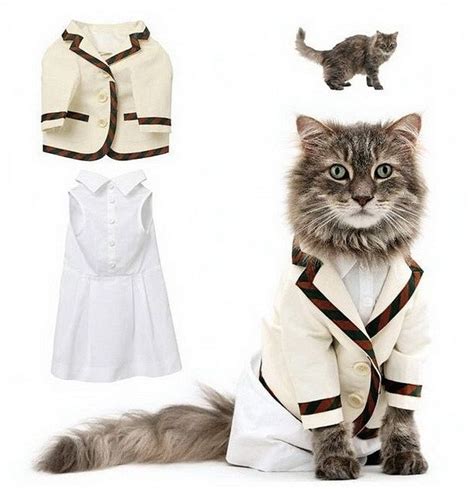 Trendy Clothes For Cats
