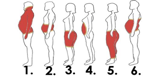 6 Types Of Body Fat And How To Get Rid Of It — Dmp Fitness