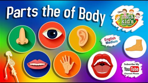 Learn Parts Of The Body For Kids Body Parts Intro For Children