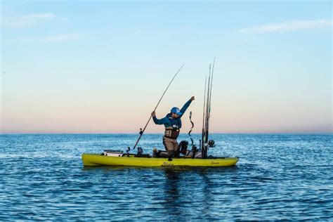 7 Secrets To Live Bait Trolling For Yellowtail Kayak Angler