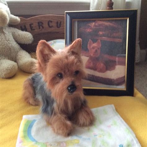 Yorkie Stuffed Animal Turn Your Yorkie Into A Plush