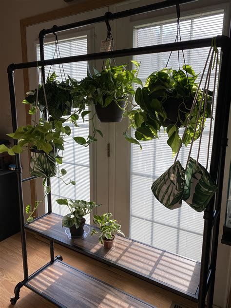 My Hanging Plant Shelf 😍 Rhangingplants