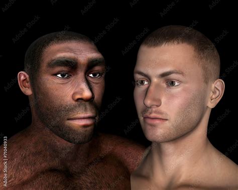 Homo Erectus And Sapiens Comparison D Render Stock Illustration Adobe Stock