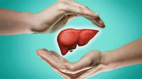 an easy guide for healthy liver thedailyguardian
