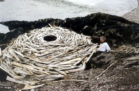 Andy Goldsworthy Working With Time — Dop