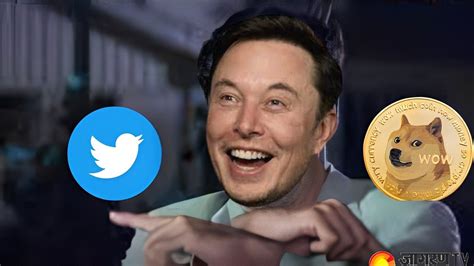 Elon Musk Sparks Controversy After Changing Twitters Blue Bird Logo