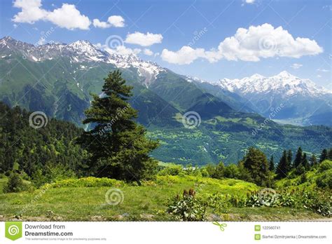 Amazing Vibrant Mountain Landscape In Georgia Svaneti Green Grass On