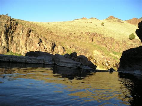 Birding Is Fun Three Forks Of The Owyhee River