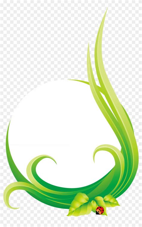 Free Leaf Euclidean Vector Natural Environment Circle Illustration