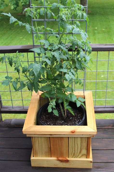 Tomato Planter Box The Size Of Your Self Watering Tomato Planter Box