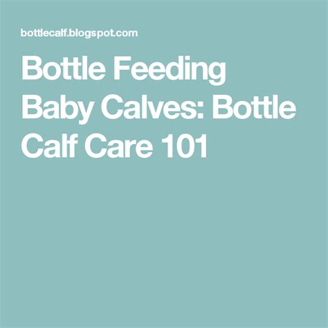 Bottle Feeding Baby Calves Bottle Calf Care 101 Bottle Feeding