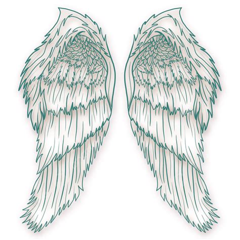 Angels Wing Hd Transparent A Pair Of Angel Wings Png Transparent