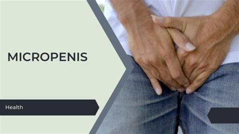 Micropenis Causes Treatment And Coping Strategies