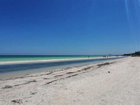 Unmissable 13 Things To Do In Holbox Cancun Closest Paradise