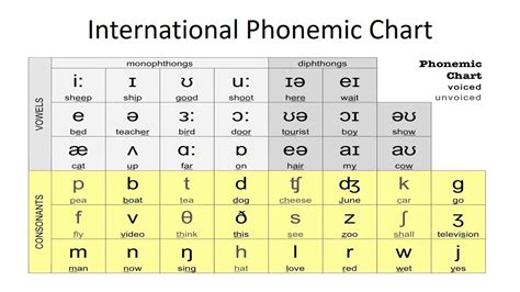Phonetic Chart English