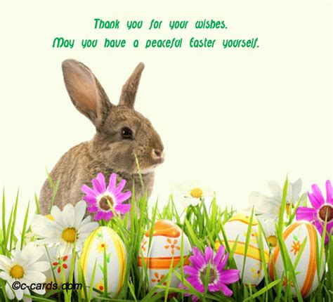 Bunny Thank You Free Thank You Ecards Greeting Cards 123 Greetings