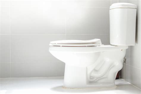 20 Different Types Of Toilets And Their Uses