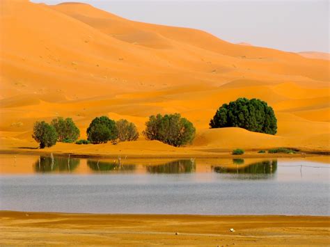 CORDELIA'S JOURNEYS: Moroccan Landscapes