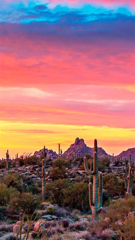Arizona Zoom Background