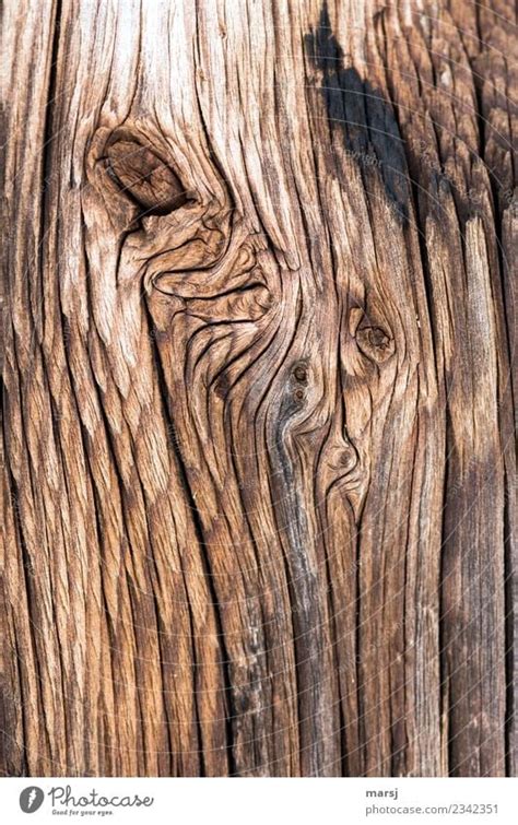 Texture Gnarled Wood Grain A Royalty Free Stock Photo From Photocase