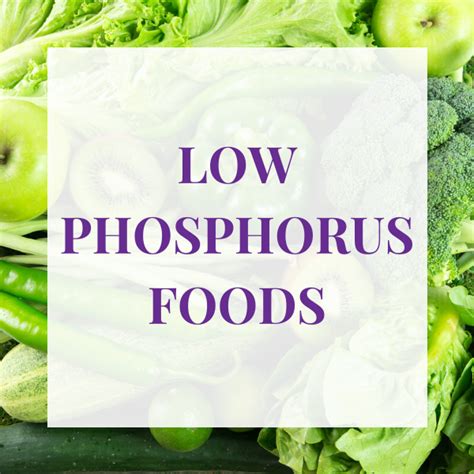 Low Phosphorus Foods Low Phosphorus Foods Low Phosphorus Diet