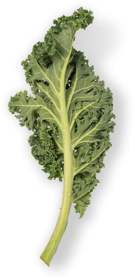 Download Kale Mustard Greens Png Image With No Background