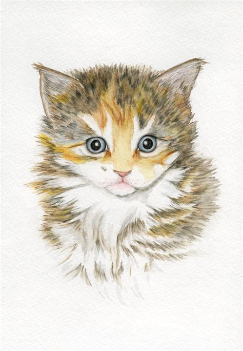 Calico Kitten Cat Paintings 5x8 Original Watercolor