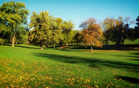 图片素材 性质 结构体 厂 领域 草坪 草地 草原 阳光 早上 秋季 乡村 绿色 公园 高尔夫球场 树木 外