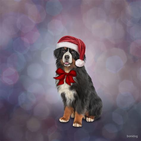 Bernese Mountain Dog In Red Hat Of Santa Claus By Bonidog Redbubble
