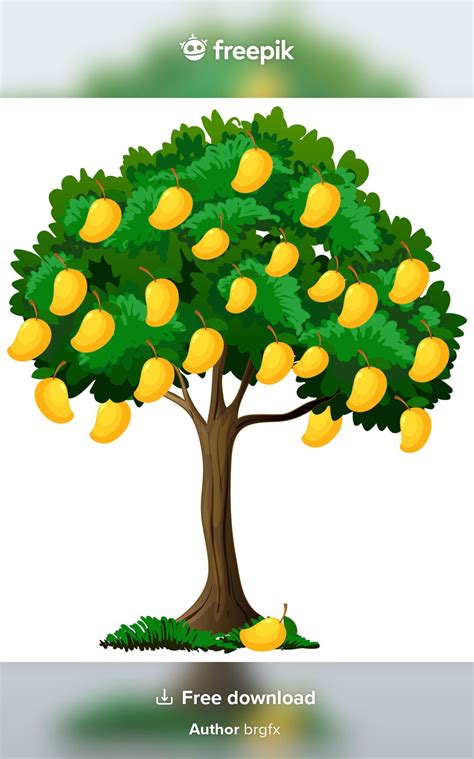 Free Vector Yellow Mango Tree Isolated On White Mango Tree Trees