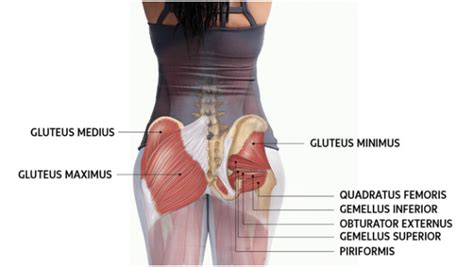 The Secret To “switching On Your Gluteals” Rapid Physiocare