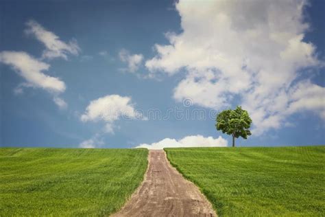 Landscape Image Of A Dirt Road Between Green Fields Under Blue Sky