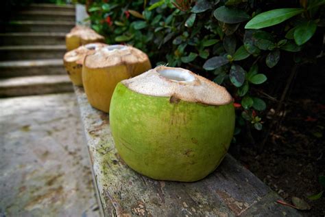 A Lovely Bunch Of Coconuts A Lovely Bunch Of Coconuts Flickr