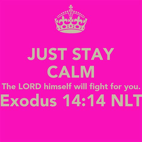 Just Stay Calm The Lord Himself Will Fight For You Exodus 1414 Nlt