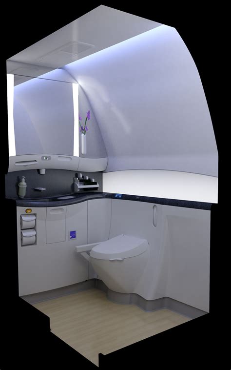 accessible  board lavatories flying disabled airlinereporter airlinereporter